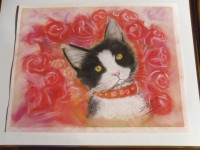 /album/chats/photo-267-jpg/